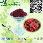 Chokeberry extract